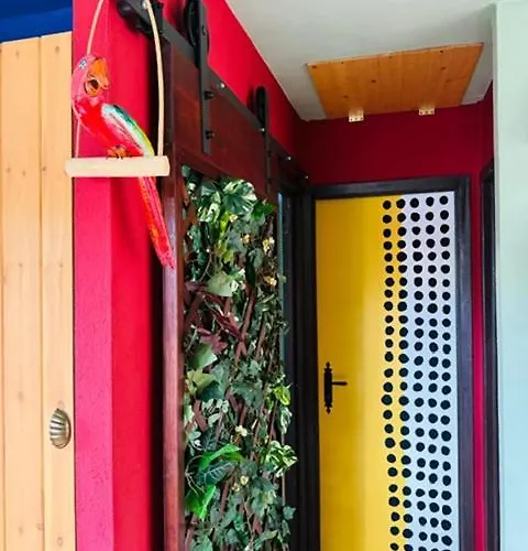Mexican House * Cortesia